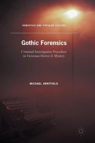 Könyv Gothic Forensics Michael Arntfield
