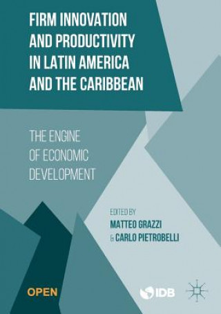 Kniha Firm Innovation and Productivity in Latin America and the Caribbean Matteo Grazzi