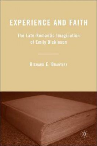 Boek Experience and Faith Richard E. Brantley