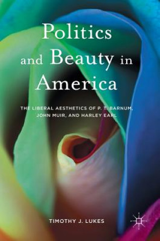 Kniha Politics and Beauty in America Timothy J. Lukes