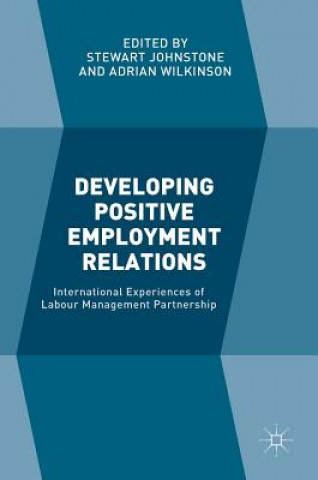 Livre Developing Positive Employment Relations Stewart Johnstone