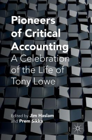 Книга Pioneers of Critical Accounting Jim Haslam