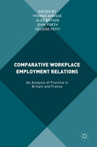 Kniha Comparative Workplace Employment Relations Thomas Amosse