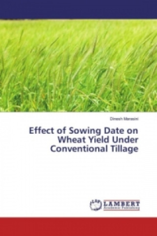 Carte Effect of Sowing Date on Wheat Yield Under Conventional Tillage Dinesh Marasini