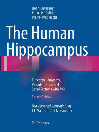 Kniha Human Hippocampus Henri M. Duvernoy