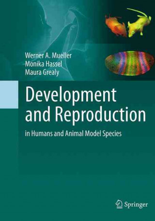 Kniha Development and Reproduction in Humans and Animal Model Species Werner A. Muller