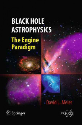 Könyv Black Hole Astrophysics David L. Meier