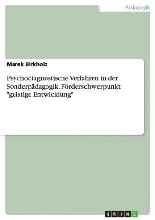 Könyv Psychodiagnostische Verfahren in der Sonderpadagogik. Foerderschwerpunkt geistige Entwicklung Marek Birkholz