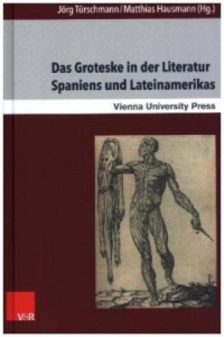 Kniha Das Groteske in der Literatur Spaniens und Lateinamerikas Jörg Türschmann