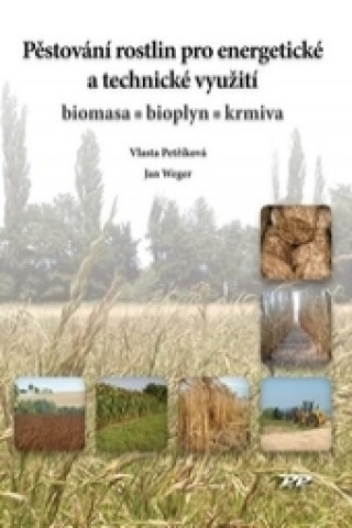 Könyv Pěstování rostlin pro energetické a technické využití Vlasta Petříková