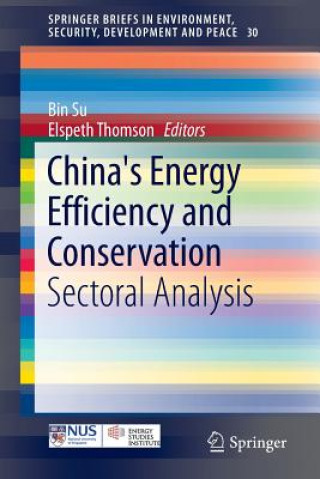 Book China's Energy Efficiency and Conservation Bin Su