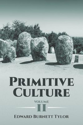Kniha Primitive Culture Volume 2 Edward Tylor