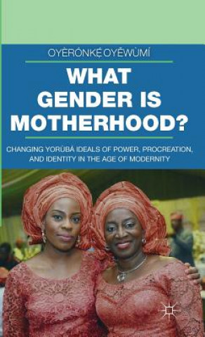 Carte What Gender is Motherhood? Oyeronke Oyewumi