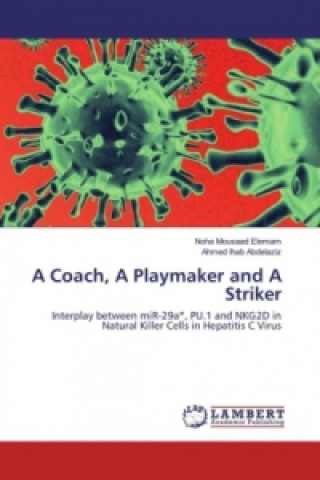 Kniha A Coach, A Playmaker and A Striker Noha Mousaad Elemam