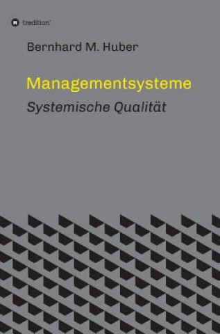Könyv Managementsysteme Bernhard M Huber