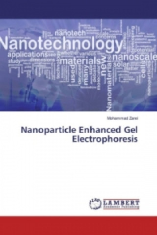 Kniha Nanoparticle Enhanced Gel Electrophoresis Mohammad Zarei