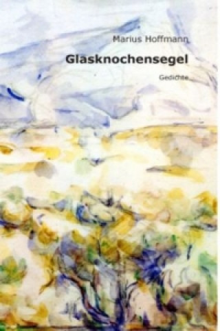 Buch Glasknochensegel Marius Hoffmann