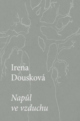 Book Napůl ve vzduchu Irena Dousková