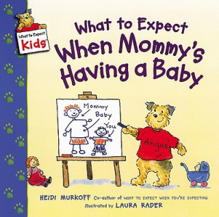 Kniha What To Expect When Mommys Having A Baby Heidi Murkoff
