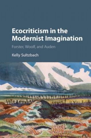Kniha Ecocriticism in the Modernist Imagination Kelly Elizabeth Sultzbach