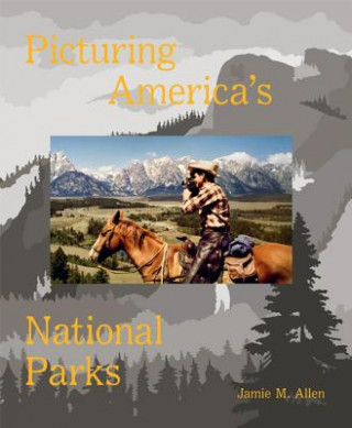 Kniha Picturing America's National Parks Jamie Allen