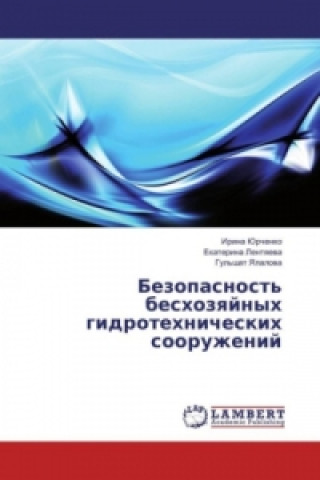 Könyv Bezopasnost' beshozyajnyh gidrotehnicheskih sooruzhenij Irina Jurchenko