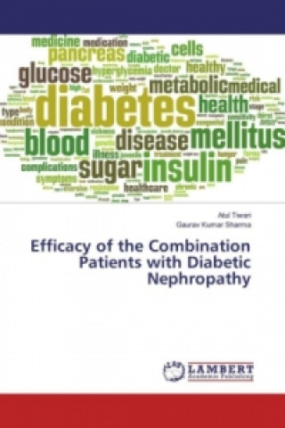 Книга Efficacy of the Combination Patients with Diabetic Nephropathy Atul Tiwari