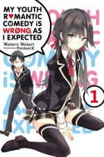 Könyv My Youth Romantic Comedy Is Wrong, As I Expected, Vol. 1 (light novel) Wataru Watari