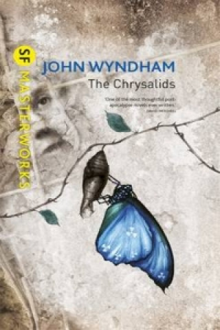 Könyv Chrysalids John Wyndham