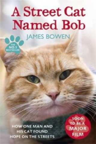 Книга Street Cat Named Bob James Bowen