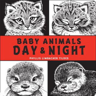 Book Baby Animals Day & Night Phyllis Limbacher Tildes