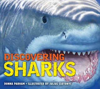Kniha Discovering Sharks Julius T Csotonyi