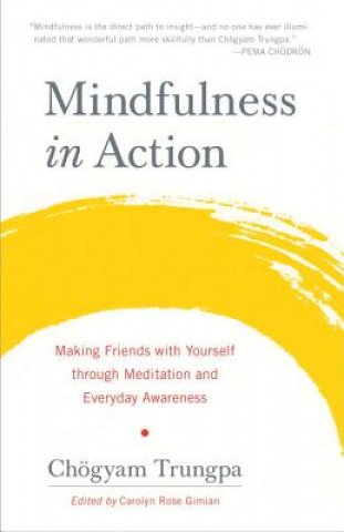 Kniha Mindfulness in Action Chögyam Trungpa