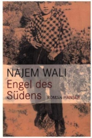 Kniha Engel des Südens Najem Wali