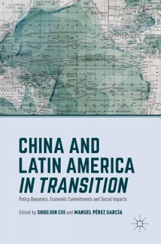 Kniha China and Latin America in Transition Shoujun Cui