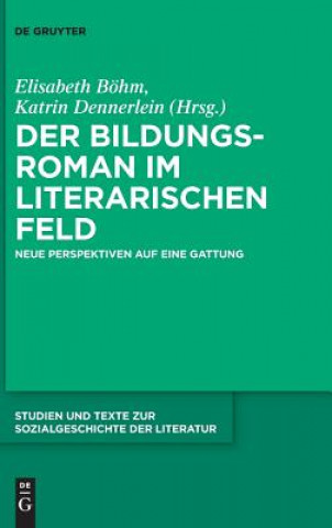 Könyv Bildungsroman im literarischen Feld Elisabeth Böhm