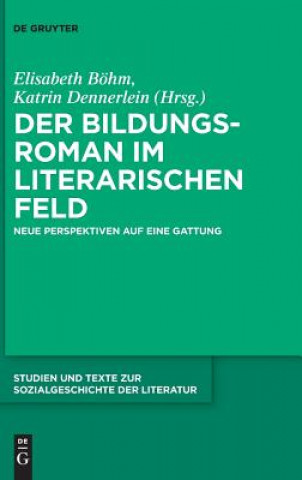 Kniha Bildungsroman im literarischen Feld Elisabeth Böhm