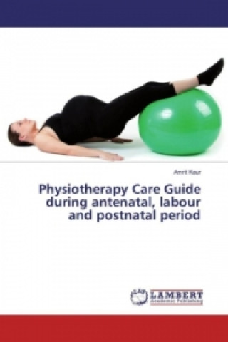 Könyv Physiotherapy Care Guide during antenatal, labour and postnatal period Amrit Kaur