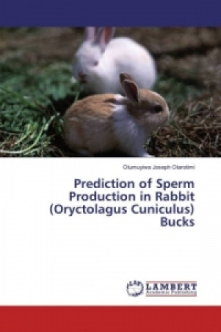 Książka Prediction of Sperm Production in Rabbit (Oryctolagus Cuniculus) Bucks Olumuyiwa Joseph Olarotimi