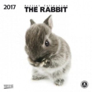 Książka The Rabbit 2017 