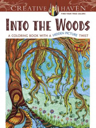 Książka Creative Haven Into the Woods Lynne Medsker