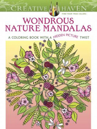 Carte Creative Haven Wondrous Nature Mandalas Jo Taylor