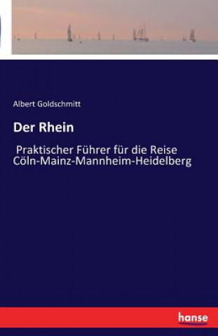 Kniha Rhein Albert Goldschmitt