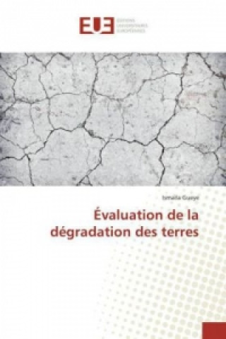 Könyv Évaluation de la dégradation des terres Ismaila Gueye