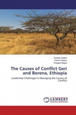 Könyv The Causes of Conflict Geri and Borena, Ethiopia Tesfaye Ayalew