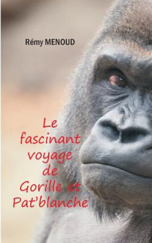 Carte fascinant voyage de Gorille et Pat'blanche Remy Menoud