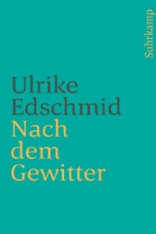 Книга Nach dem Gewitter Ulrike Edschmid