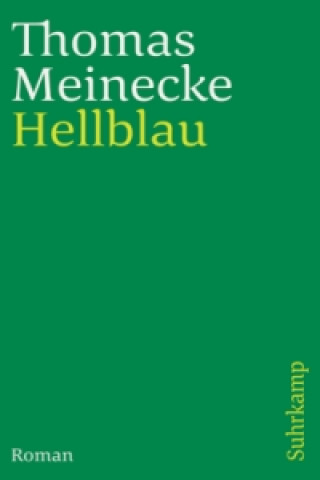 Könyv Hellblau Thomas Meinecke