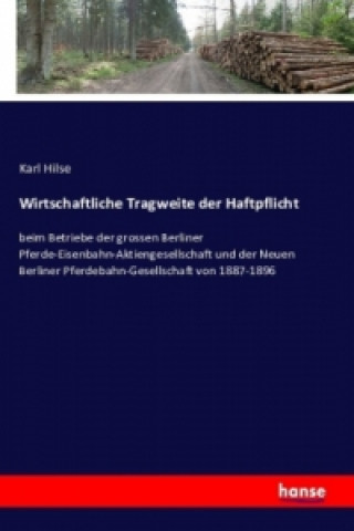 Książka Wirtschaftliche Tragweite der Haftpflicht Karl Hilse