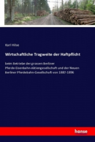 Buch Wirtschaftliche Tragweite der Haftpflicht Karl Hilse